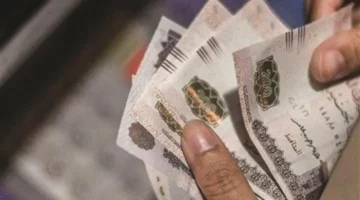 6 فئات تستحق معاشًا شهريًا ثابتًا وتفاصيل الاستحقاق